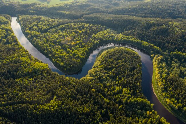 DÍA DE LA AMAZONÍA: LA ACCIÓN CLIMÁTICA EN EL BIOMA MÁS IMPORTANTE DE BRASIL COMIENZA EN LAS CIUDADES